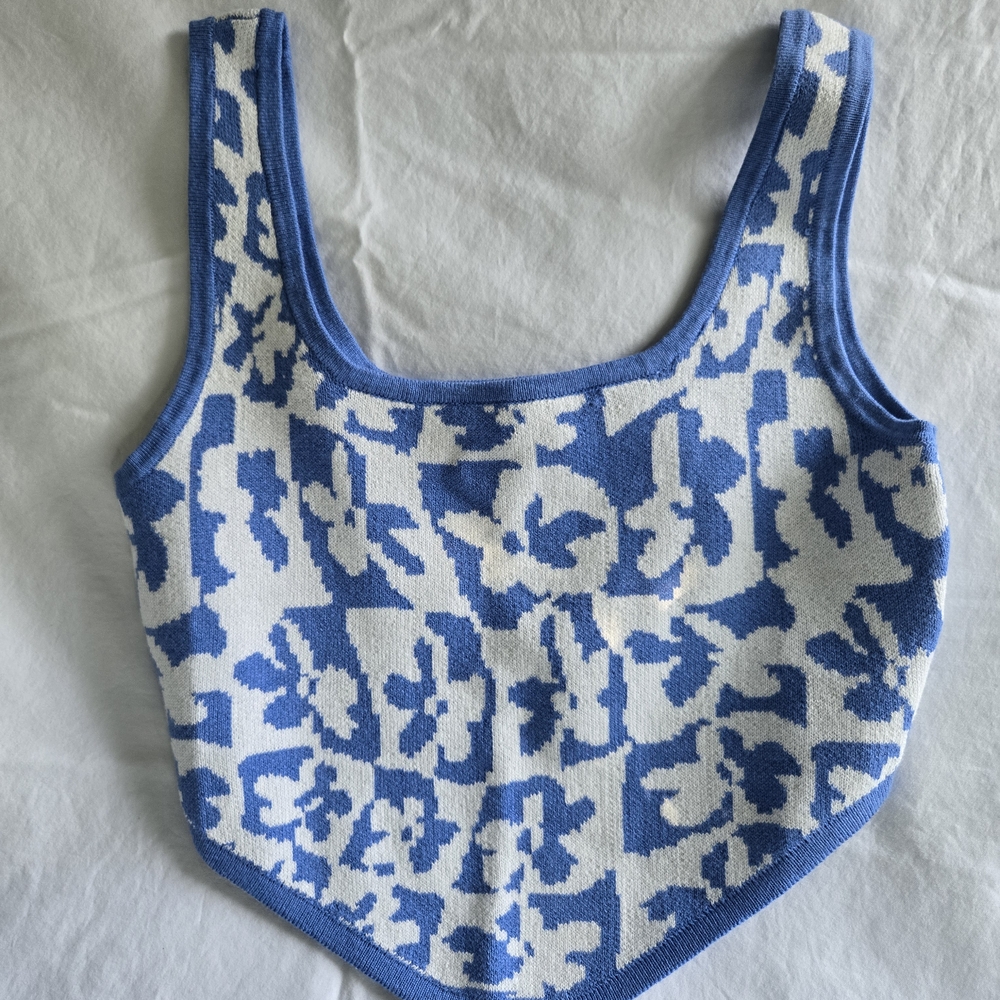 American Eagle Blue and White Knit Top